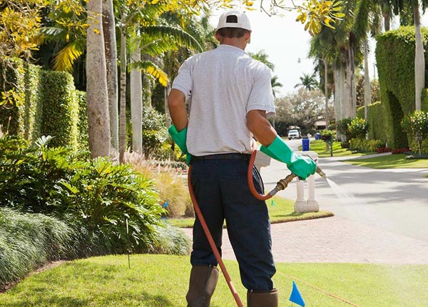 About Herndon KS Pest Control
